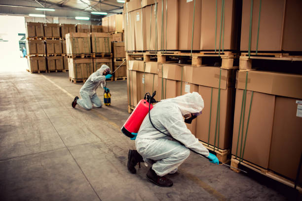 Best Bed Bug Extermination  in Gnadenhutten, OH
