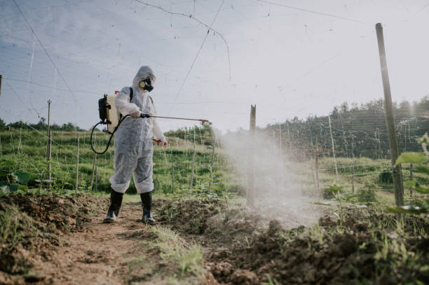 Best Mosquito Control Services  in Gnadenhutten, OH