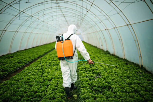 Best Pest Prevention Services  in Gnadenhutten, OH