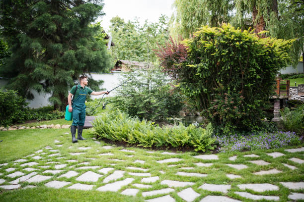 Best Exterminator Services  in Gnadenhutten, OH
