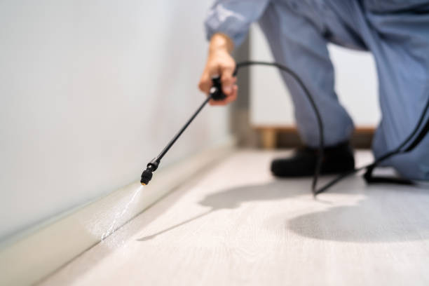 Best Wasp Removal Services  in Gnadenhutten, OH