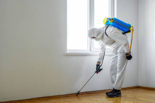  Gnadenhutten, OH Pest Control Pros