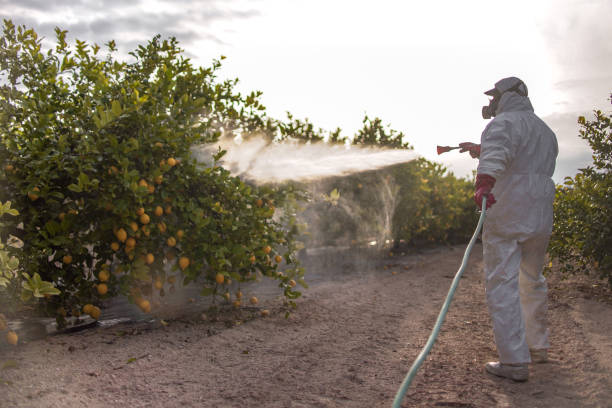 Best Pest Inspection Near Me  in Gnadenhutten, OH