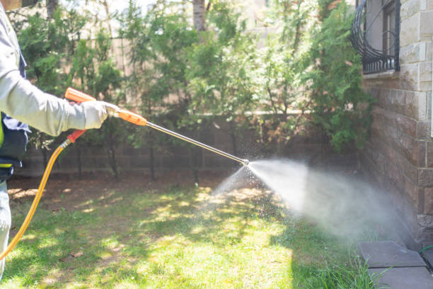 Best Rat Extermination Near Me  in Gnadenhutten, OH