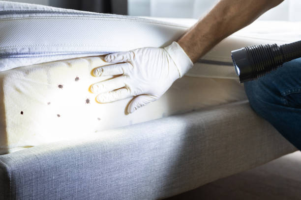 Best Affordable Exterminators  in Gnadenhutten, OH