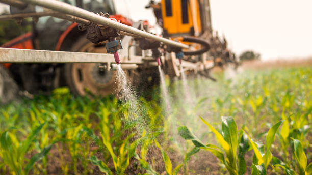 Best Wildlife Control Services  in Gnadenhutten, OH