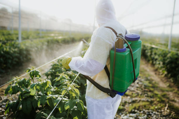 Wasp Removal Services in Gnadenhutten, OH